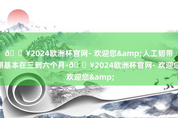 🔥2024欧洲杯官网- 欢迎您&人工韧带的康复期基本在三到六个月-🔥2024欧洲杯官网- 欢迎您&