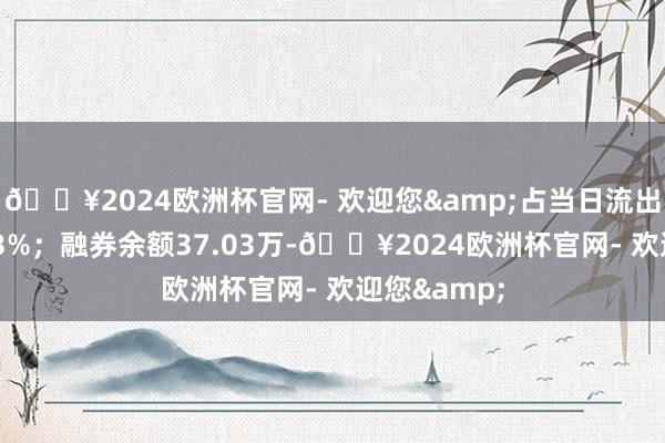 🔥2024欧洲杯官网- 欢迎您&占当日流出金额的0.03%；融券余额37.03万-🔥2024欧洲杯官网- 欢迎您&