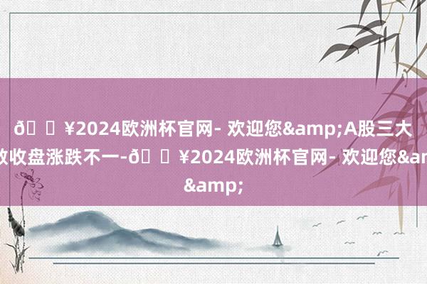 🔥2024欧洲杯官网- 欢迎您&A股三大指数收盘涨跌不一-🔥2024欧洲杯官网- 欢迎您&